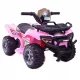  CHAMPION BATTERY QUAD - SCAUN SUPER MOLE /JC913