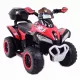  BATERIE QUAD CU CUTIE - SUPER CALITATE/GTS-1188A