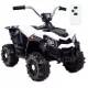 BATERIE QUAD SPORT 1000, DOUĂ MOTORE, TELECOMANDĂ/MDX608