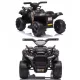  QUAD BATERIE PENTRU UN BEBE - CHAMPION 5000/JS320