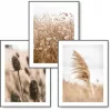 Set de 3 postere boho KMBpress #14 iarbă uscată 50 × 70 cm