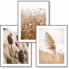   Set de 3 postere boho KMBpress #14 iarbă uscată 50 × 70 cm