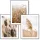 Set de 3 postere boho KMBpress #14 iarbă uscată 50 × 70 cm
