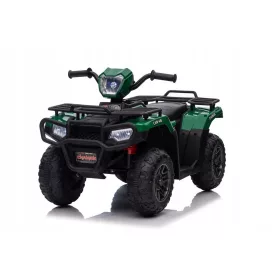  Quad LEANToys 5905323217928 Maro, Negru, Violet, Albastru
