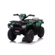  Quad LEANToys 5905323217928 Maro, Negru, Violet, Albastru