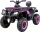  BATERIE DE VITEZĂ VEHICULE QUAD 24V 320W AMORTIZATE