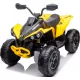  BATERIE QUAD 4 ROȚI 24V PUTERE 400W AMORTIZATE