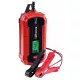  Incarcator Einhell 1002225