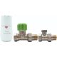  Set termostatic drept Vario-Term EGS05106C/FP