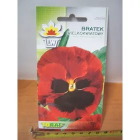  panseluță roșie cu flori mari, cu o pată 0,2 g / T /