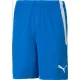  H3107 PUMA teamLIGA SHORT PANTOR SORRT PENTRU BĂRBAȚI XL