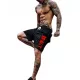  SHEIN PANTORȘ SORRT SPORT BĂRBAȚI L Ł1A