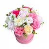 Cutie cu flori roz de săpun, înălțime 19–23 cm