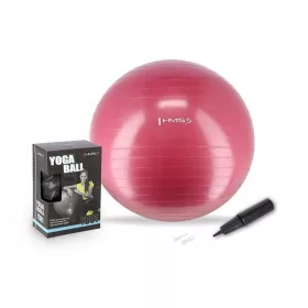    MINGE DE REHABILITARE 65 cm HMS YB01 MINGE DE gimnastică pentru exerciții de fitness