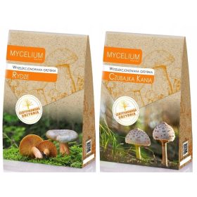 Miceliu selectat din Mycelium Rydze
