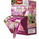  Ingrasamant lichid multicomponent tinta 1,26 kg 0,035 l