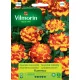  TARGET FLAMENCO 25 DIN LUNCA FLORILOR BILMORIN