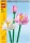  LEGO FLORI DE LOTUS 40647
