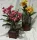  Plumeria Rubra. Floare Lei - Frangipani +GRATUIT