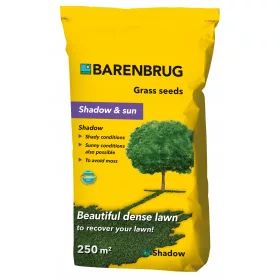    Iarbă decorativă, amestec de iarbă, pentru zone umbrite, grădină, renovare, sport Barenbrug 250 m² 5 kg