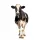  Gunoi de grajd bovine 100% granulat 20kg. Eco de toamna primavara