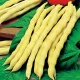  Seminte de fasole Mamut 100 g