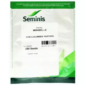  Seminte de Cepelin 2 g