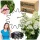  Suport plante plastic 21,5 cm 20 buc.