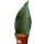  Sansevieria grandis | masoniana Sansevieria DØ12cm