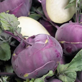  Purple Blankyt Kohlrabi, Seminte FOARTE REZISTENTE