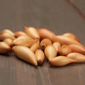   Ceapa galbena Ceapa de primavara Birnformige Marime 8-21 0,5 kg