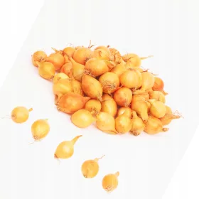    Ceapa galbena primavara Wola 1 kg pentru plantarea ceapa de cea mai buna calitate 10-15 mm