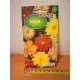  Dahlia pitică Unwins Mix 2g plin