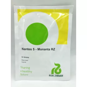  Morcov Monanta 50g tip Nantes, OLANDA