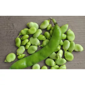  SEMINTE DE BAFAN DE ZIMBUR TIMPURIE PLANTICO 0,5 kg