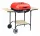  ACTIVA BASICLINE CARUT GRIL DREPTUNGULAR CU CAPAC 46 CM 19524