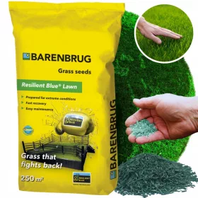  Iarbă universală - Barenbrug RESILIENT BLUE 5 kg