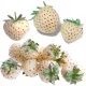  CAPSUNI ALBA ANANAS ANANAS 10 SEMINTE