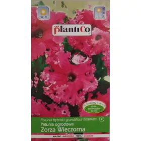  Petunia de grădină Żrza Wieczorna 0,05 g Plantico