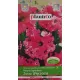  Petunia de grădină Żrza Wieczorna 0,05 g Plantico