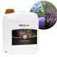  Îngrășământ lichid insol 6,5 kg 5 l