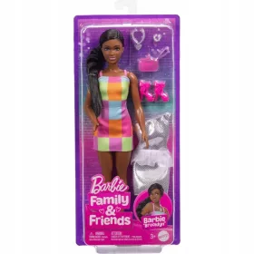  Păpușa BARBIE FAMILY & FRIENDS Booklyn cu haine JBF42