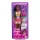  Păpușa BARBIE FAMILY & FRIENDS Booklyn cu haine JBF42