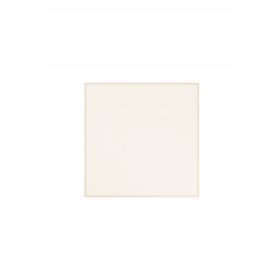  PIZZA CUPTOR GRĂDINA ACASA GRĂtare