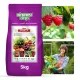  Zmeura Fructe Ingrasamant Multicomponent ORO FRUCTE 100 zile 5kg VERDE ORO