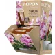  Îngrășământ organic, natural Biopon lichid 1 kg 1,44 l
