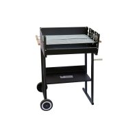 Vânzare casă și grădină