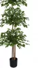 Ficus artificial în ghiveci, 150–160 cm