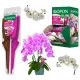  BOPON DUO PENTRU ORHIDEE Hraneste si regenereaza BIOPON APPLICATOR ELIXIR 36x