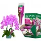  BOPON - DUO elixir pentru orhidee hraneste si regenereaza 35ml - disp 36 buc.